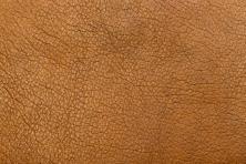cuir