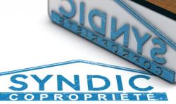 Syndic