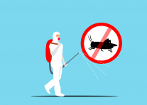 Insecticide