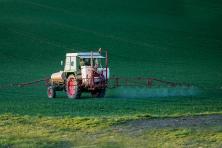 glyphosate