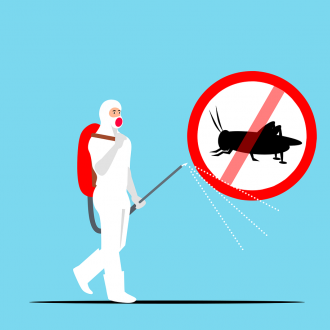 Insecticide