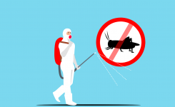Insecticide